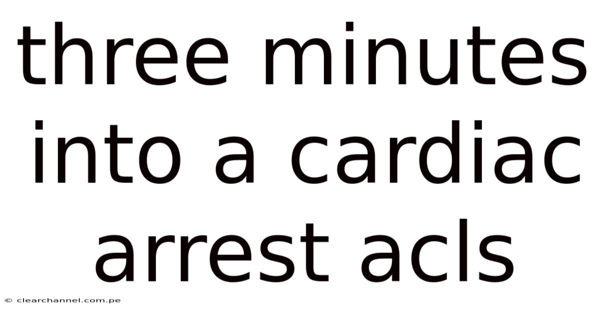Three Minutes Into A Cardiac Arrest Acls