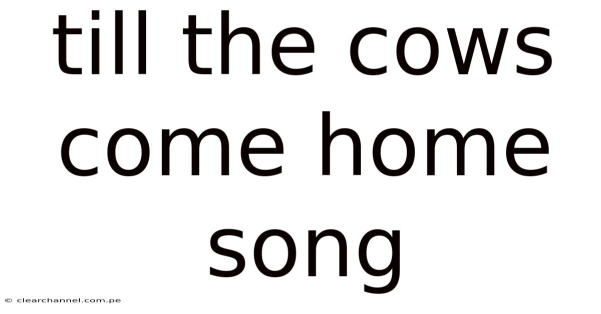 Till The Cows Come Home Song