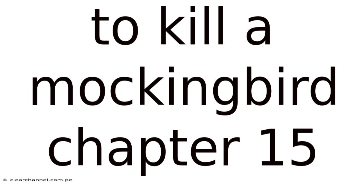 To Kill A Mockingbird Chapter 15