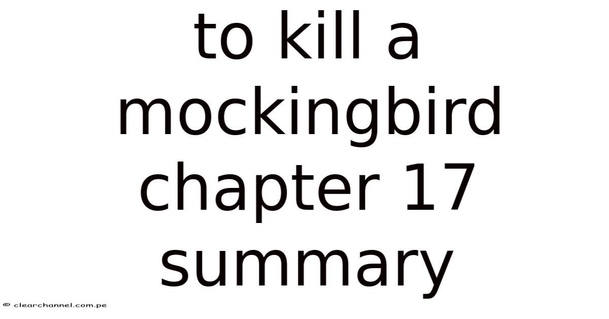 To 17 To Kill A Mockingbird Chapter 17 Summary