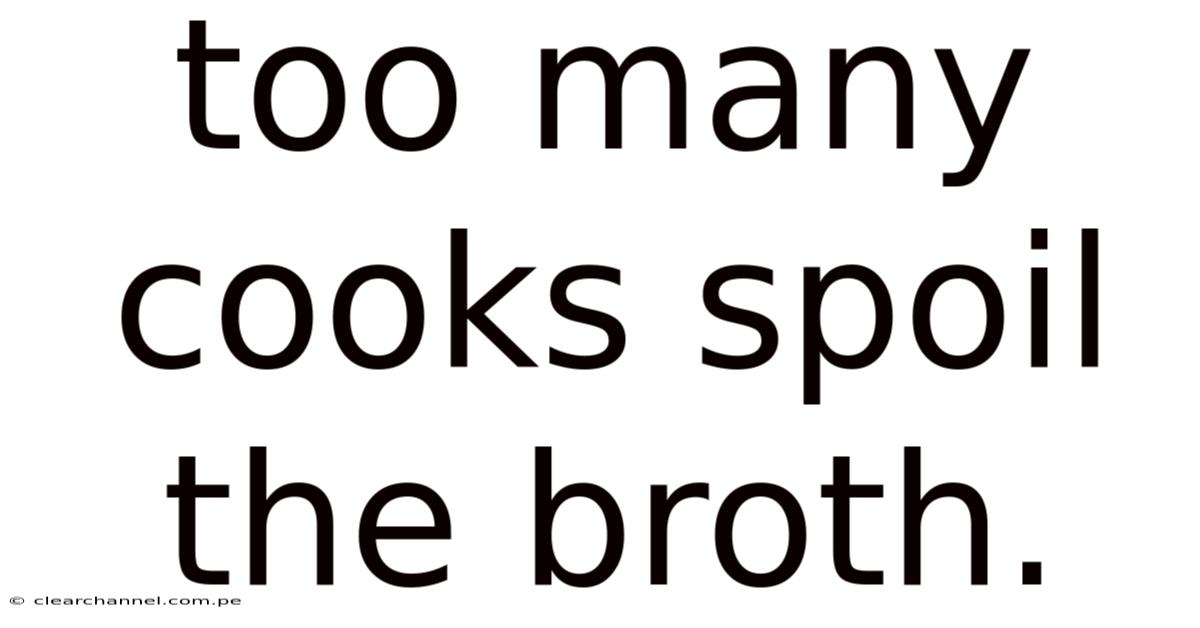 Too Many Cooks Spoil The Broth.