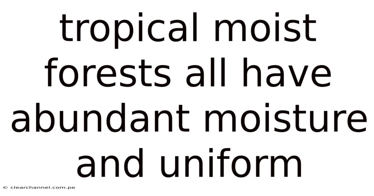 Tropical Moist Forests All Have Abundant Moisture And Uniform