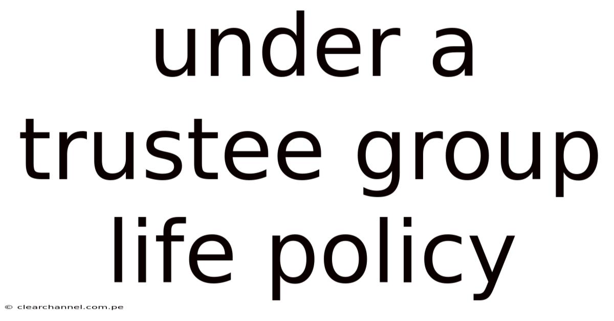 Under A Trustee Group Life Policy