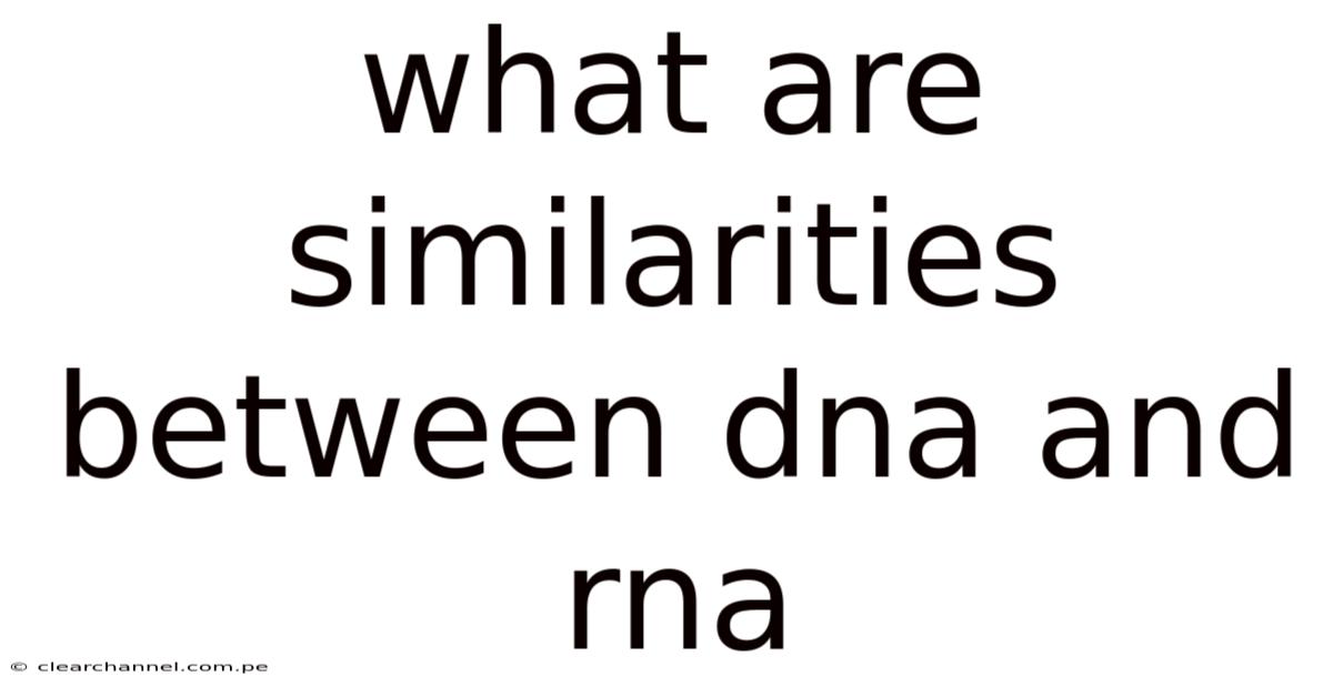 What Are Similarities Between Dna And Rna