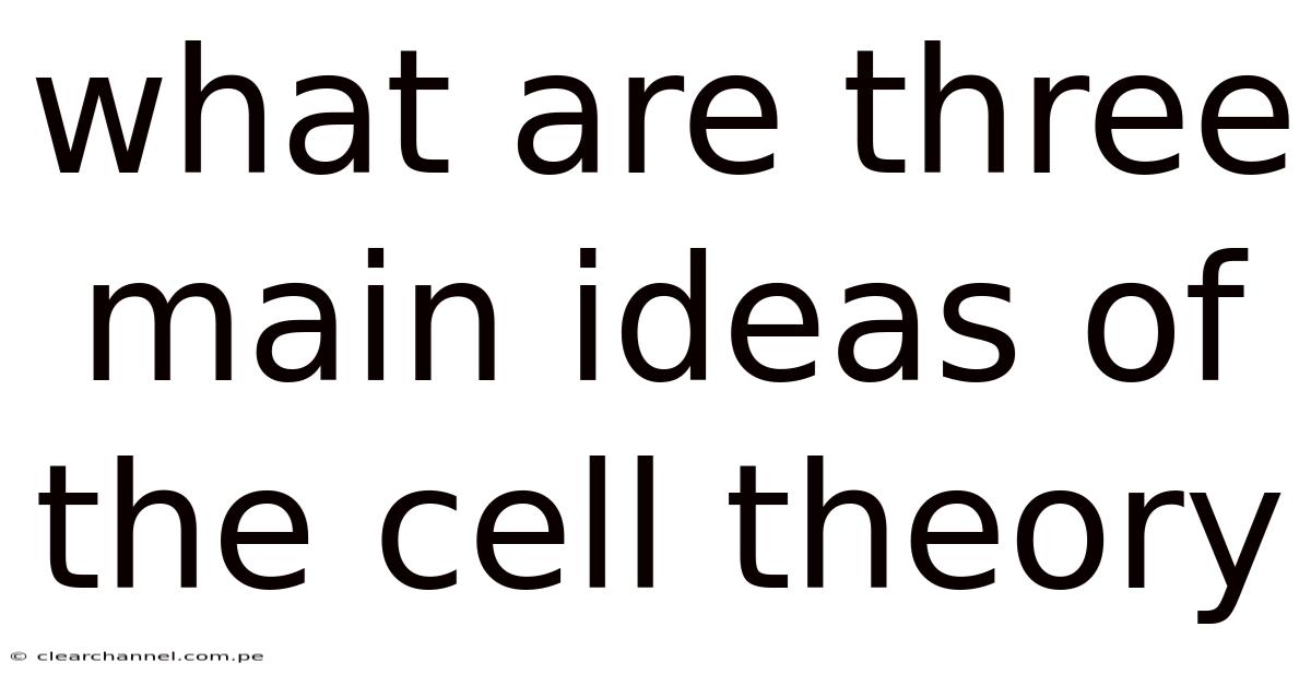 What Are Three Main Ideas Of The Cell Theory