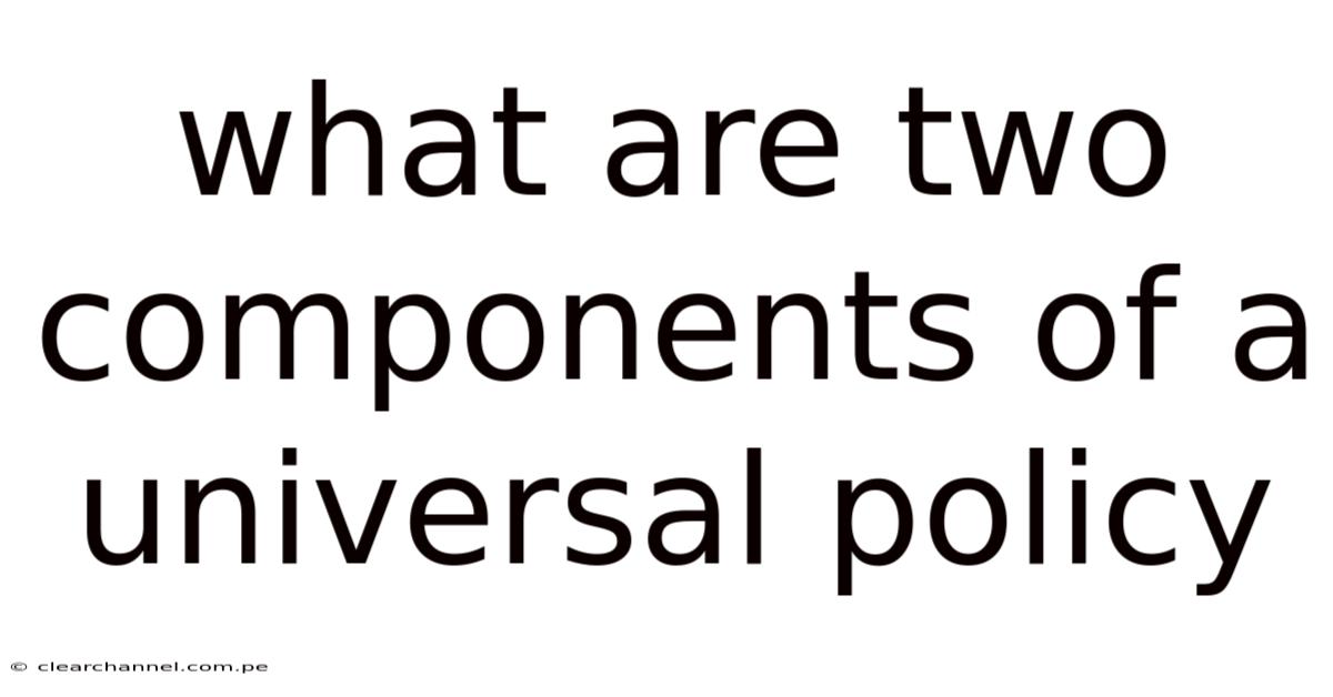What Are Two Components Of A Universal Policy
