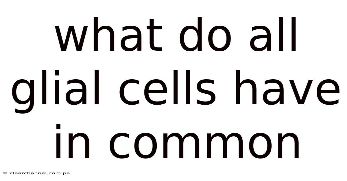 What Do All Glial Cells Have In Common
