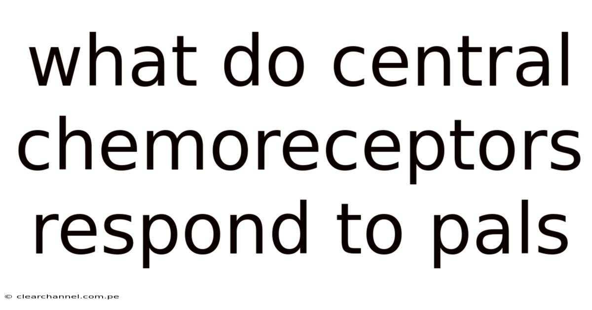 What Do Central Chemoreceptors Respond To Pals