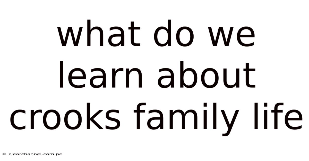 What Do We Learn About Crooks Family Life