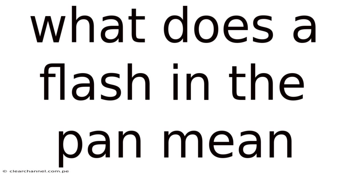 What Does A Flash In The Pan Mean