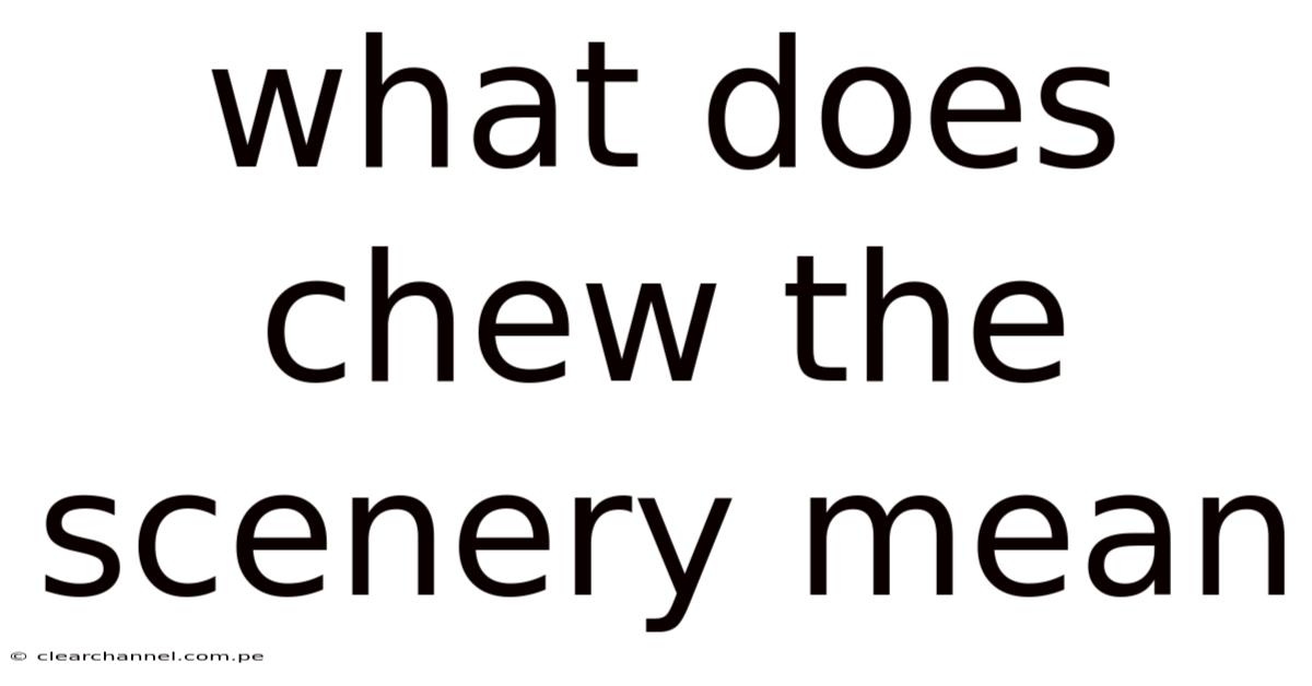 What Does Chew The Scenery Mean