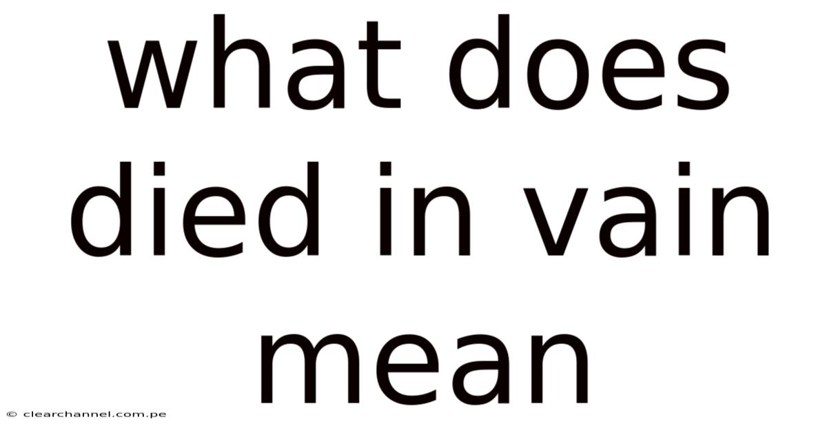 What Does Died In Vain Mean