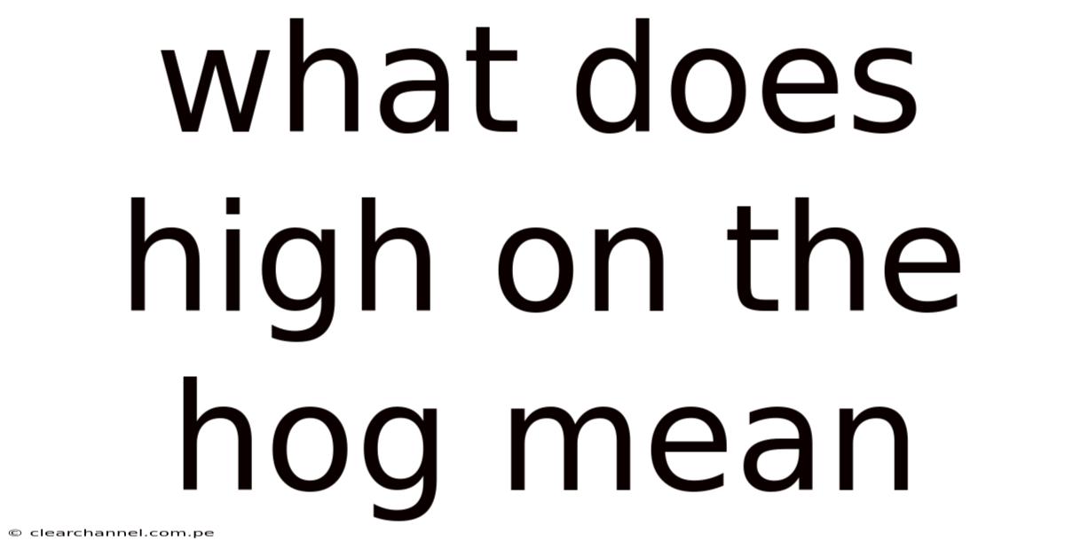 What Does High On The Hog Mean