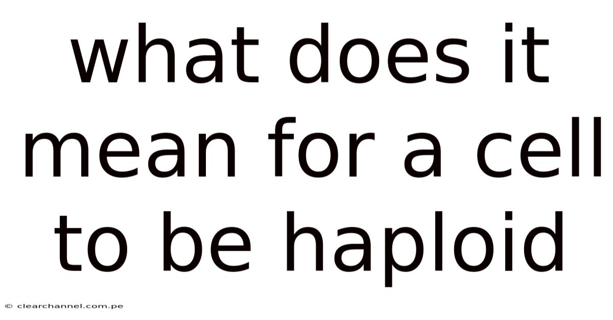 What Does It Mean For A Cell To Be Haploid