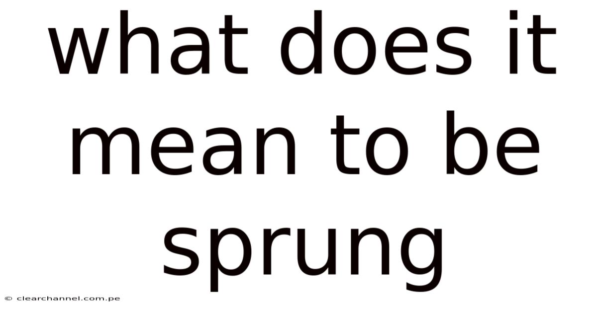 What Does It Mean To Be Sprung