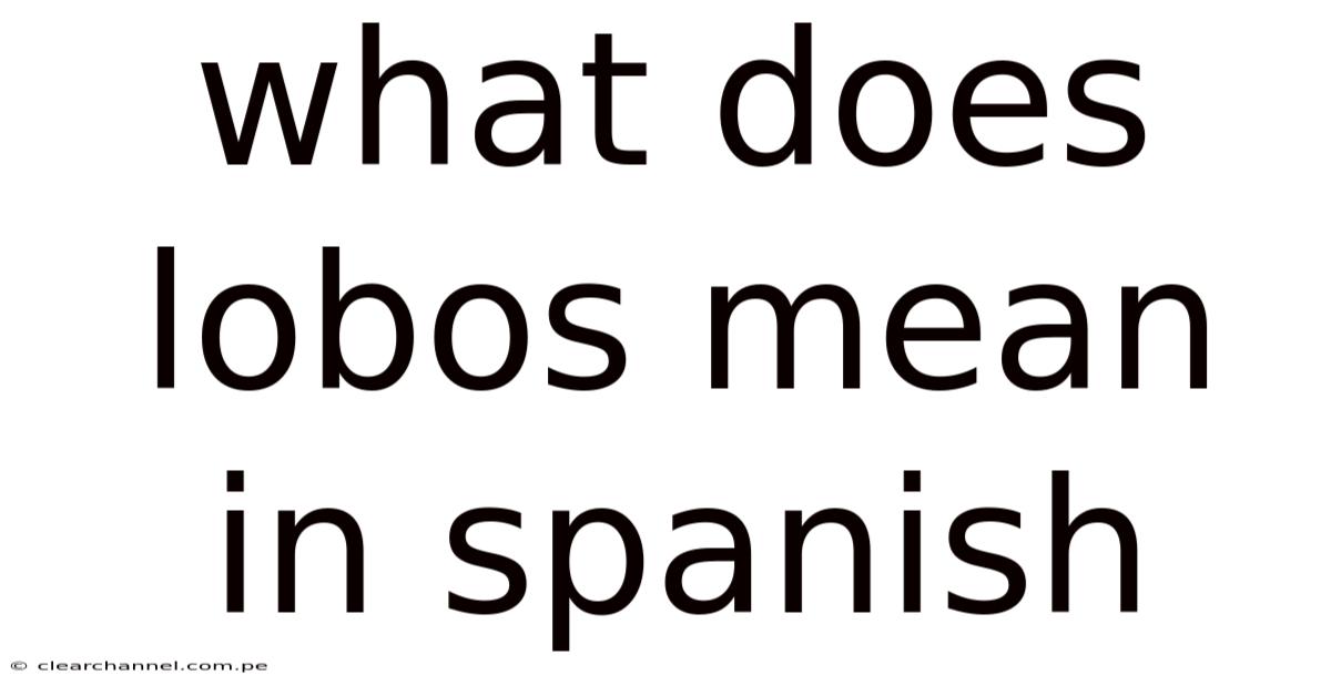 What Does Lobos Mean In Spanish