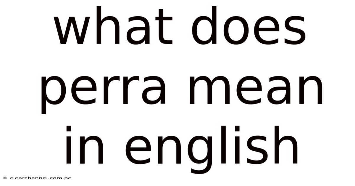 What Does Perra Mean In English