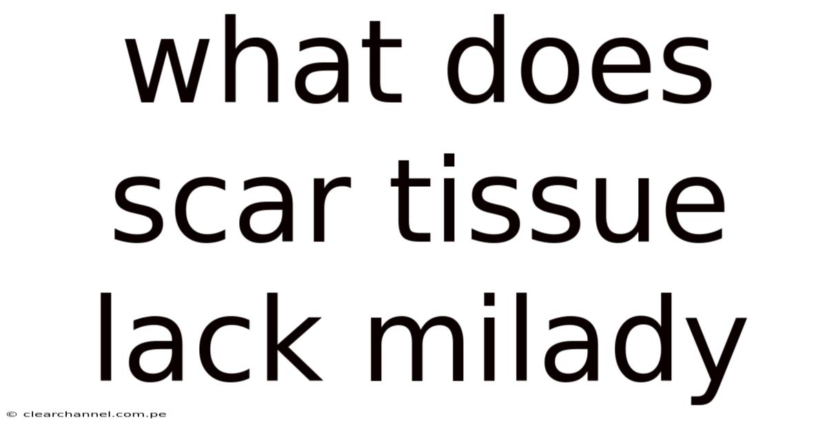 What Does Scar Tissue Lack Milady
