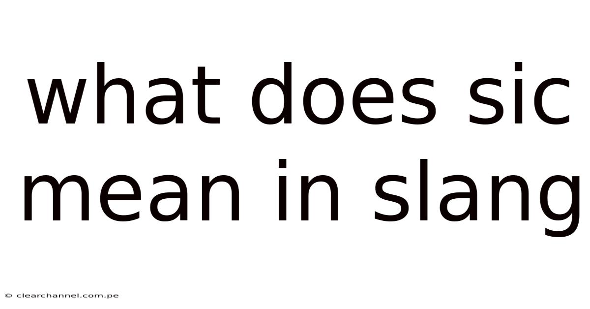 What Does Sic Mean In Slang