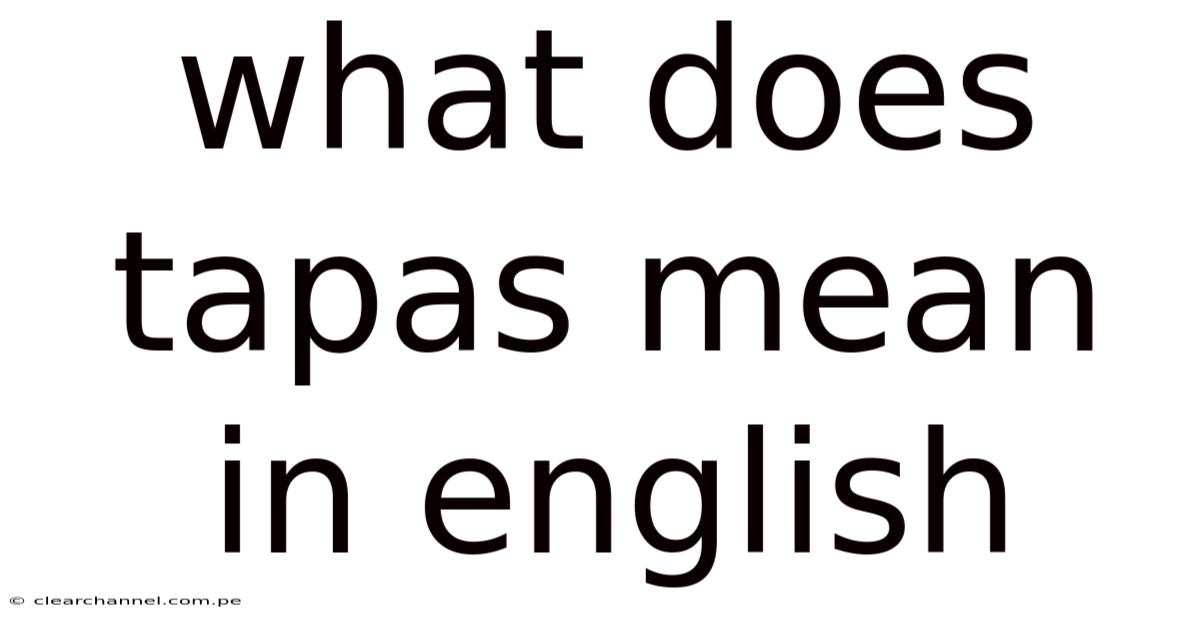 What Does Tapas Mean In English