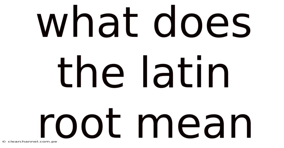 What Does The Latin Root Mean