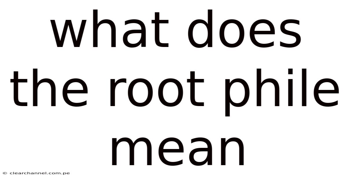 What Does The Root Phile Mean