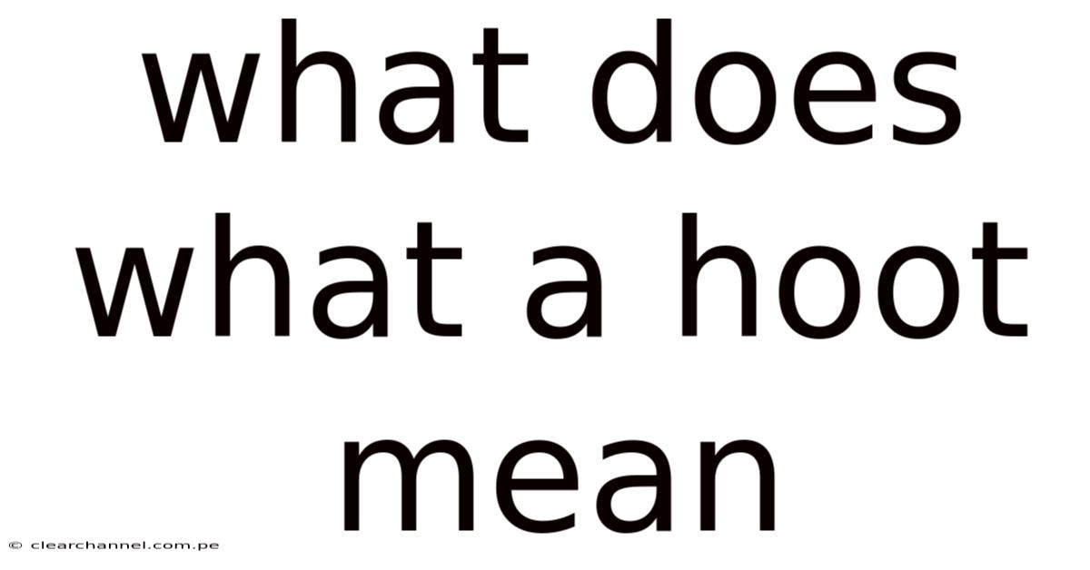 What Does What A Hoot Mean