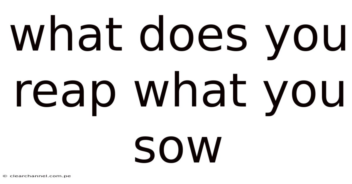 What Does You Reap What You Sow
