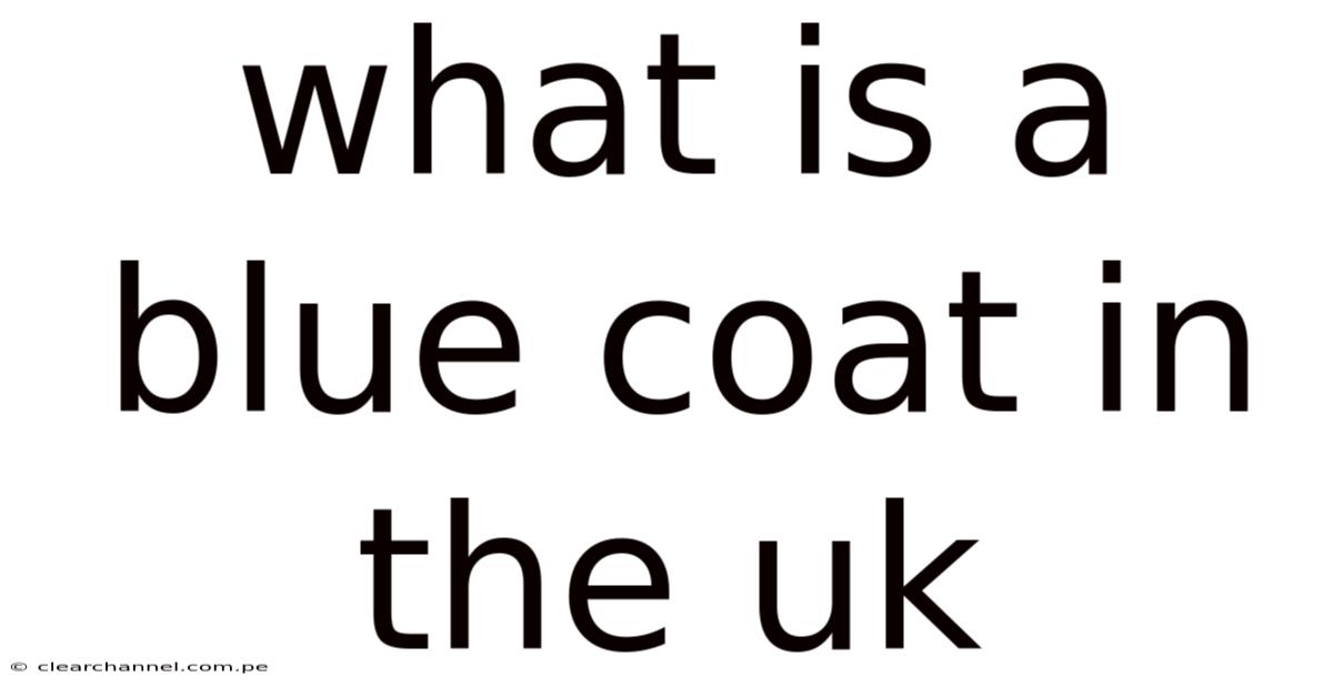 What Is A Blue Coat In The Uk