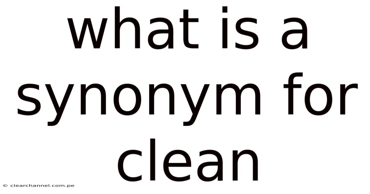 What Is A Synonym For Clean