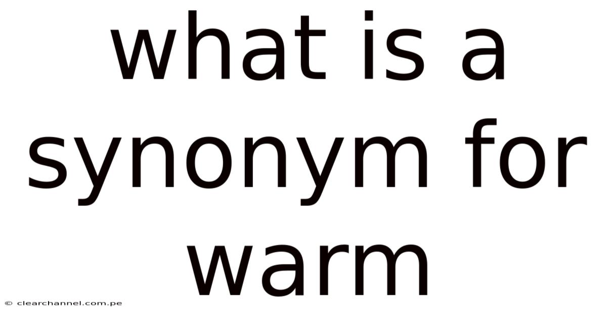 What Is A Synonym For Warm