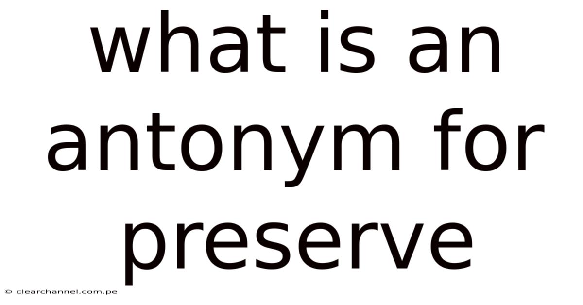 What Is An Antonym For Preserve