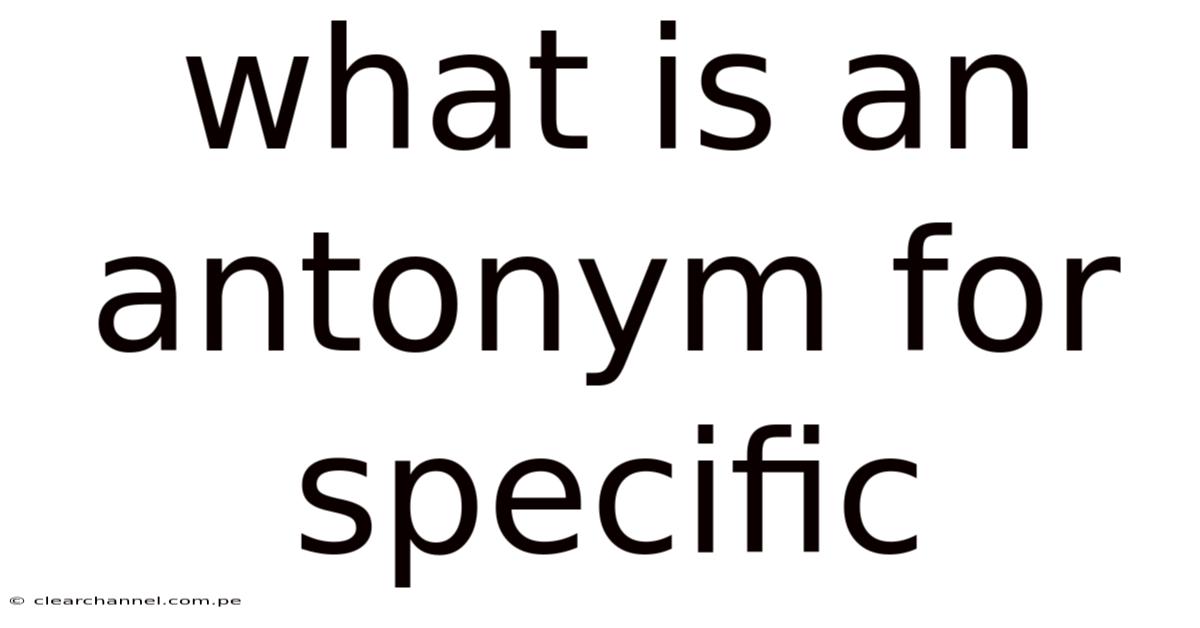What Is An Antonym For Specific