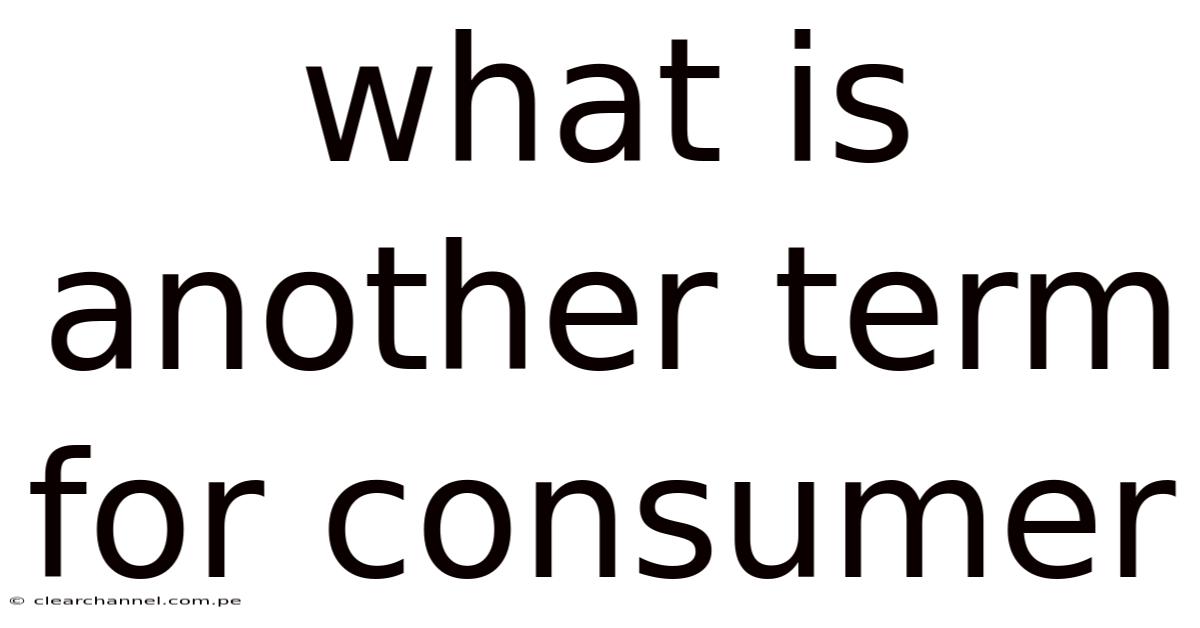 What Is Another Term For Consumer
