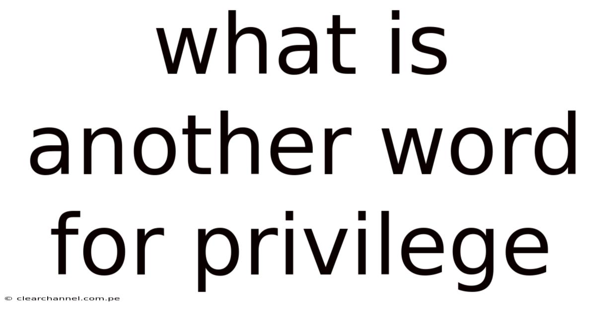 What Is Another Word For Privilege