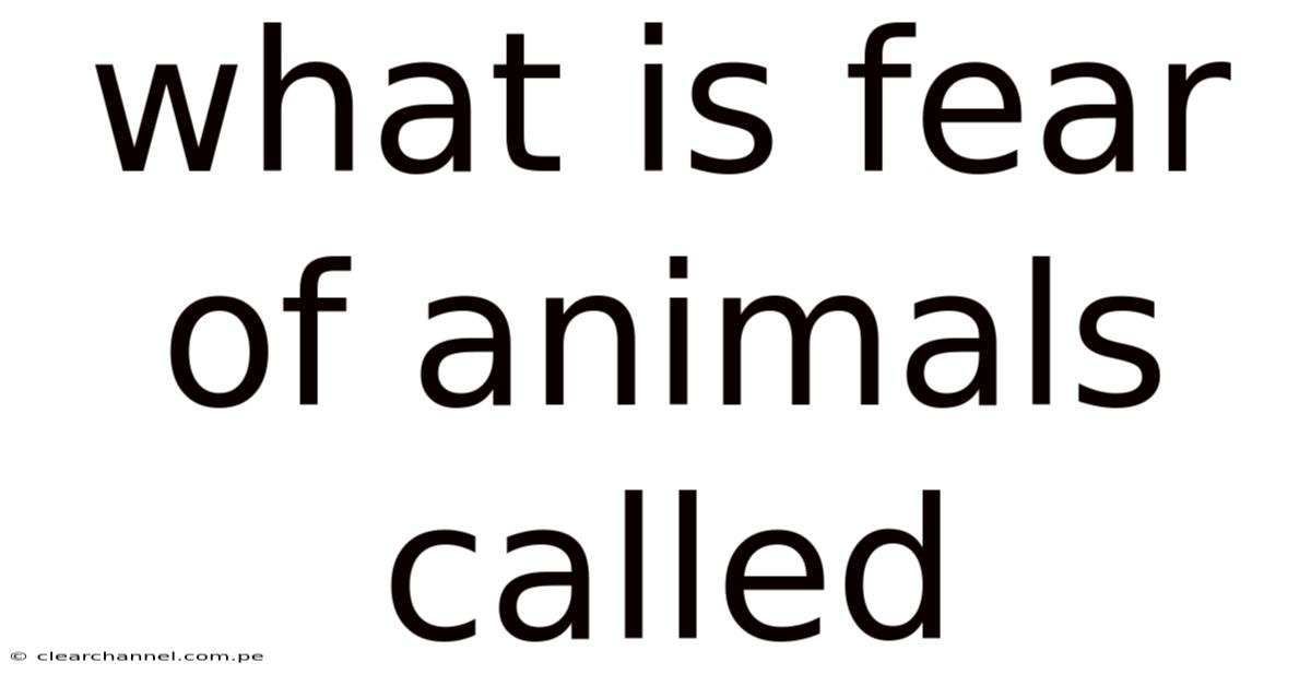 What Is Fear Of Animals Called