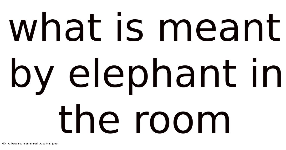 What Is Meant By Elephant In The Room
