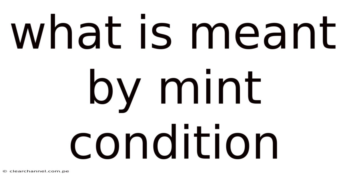 What Is Meant By Mint Condition