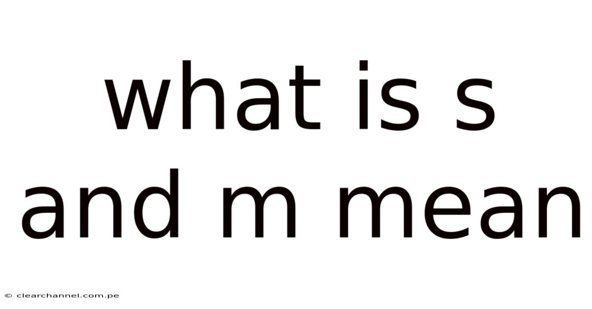 What Is S And M Mean