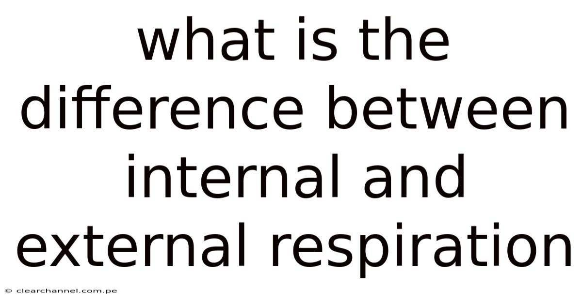 What Is The Difference Between Internal And External Respiration