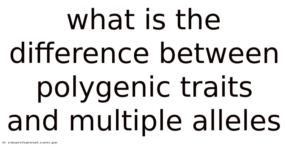 What Is The Difference Between Polygenic Traits And Multiple Alleles