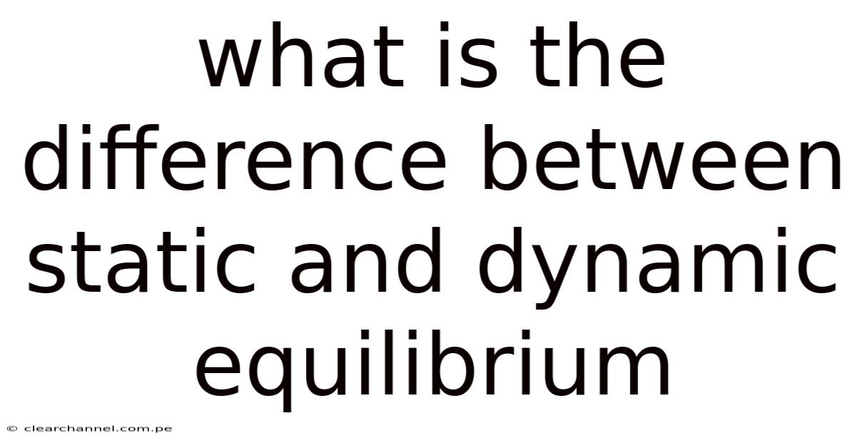 What Is The Difference Between Static And Dynamic Equilibrium