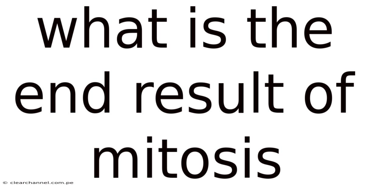 What Is The End Result Of Mitosis