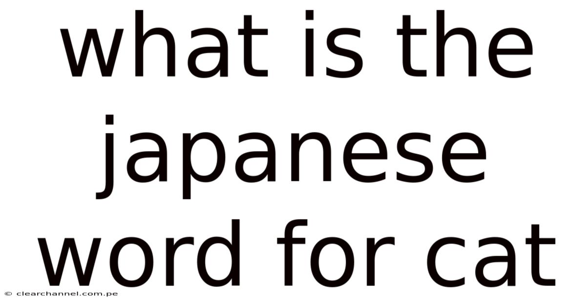 What Is The Japanese Word For Cat