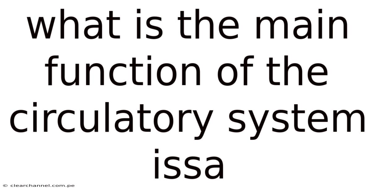 What Is The Main Function Of The Circulatory System Issa