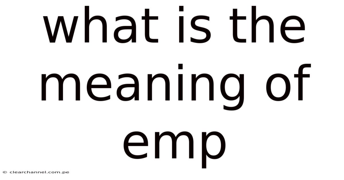 What Is The Meaning Of Emp