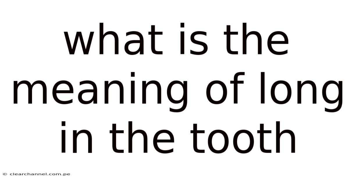 What Is The Meaning Of Long In The Tooth