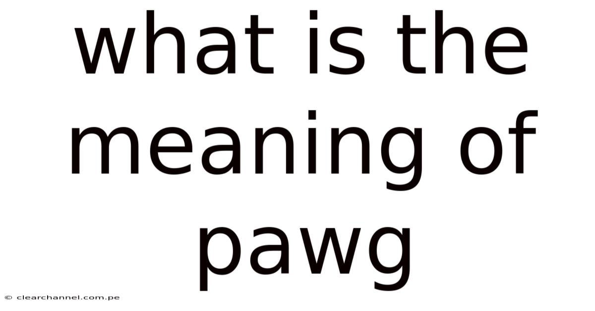 What Is The Meaning Of Pawg