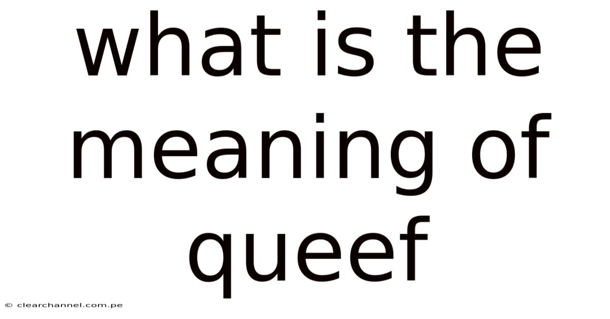 What Is The Meaning Of Queef