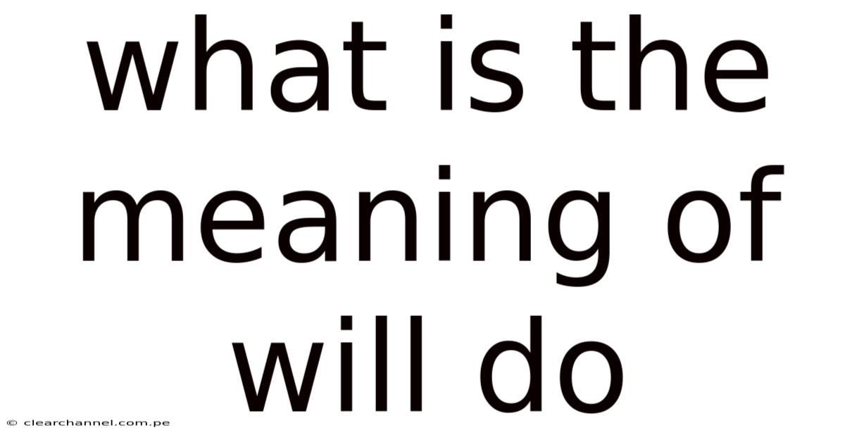 What Is The Meaning Of Will Do